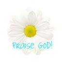 ELAINE MAGEE - @123EMAGEE - Twitter