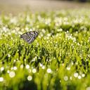 BIBHU DASH - @welcomebibhu - Twitter