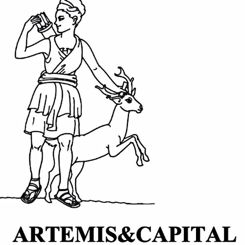 Artemis_Capital's profile picture. Real Estate Investment Company specialized in mid size town in France.