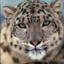 Clive Mason - @clive_mason - Twitter