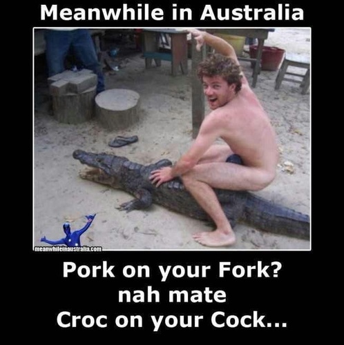 SkippyYellownsx's profile picture.