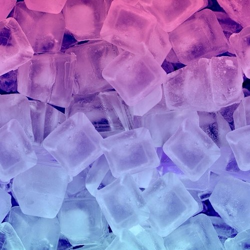 HeeswijkSenna's profile picture. 