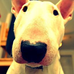 Bad_robot_'s profile picture. 