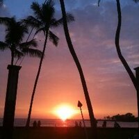 Deanna (@didilynn2) 's Twitter Profile