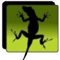 We take the guesswork out of reptile care!