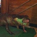 Jodi Gamble - @GambleJodi - Twitter