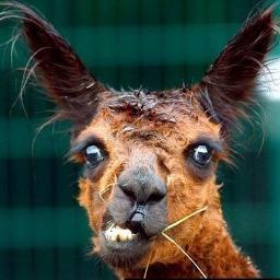 Looking forward to the Hacking Trials of October & hoping the Truth will be revealed. Yes, I know, bit of a dreamer...