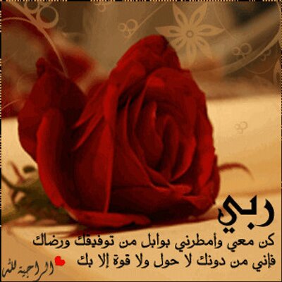 لمسة شهرزاد كلام في منتهى الرقة Facebook