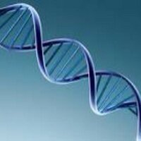 生物学bot (@seibutugaku) 's Twitter Profile