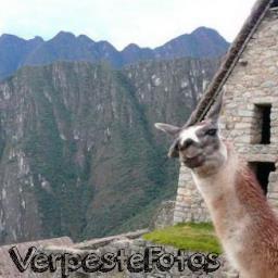 ♔Volg ons voor de leukste & grappigste plaatjes in je TimeLine♔
♔Contact: VerpesteFotos@live.nl♔
