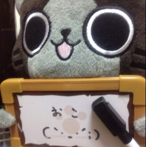 koujoutyo1221's profile picture. 