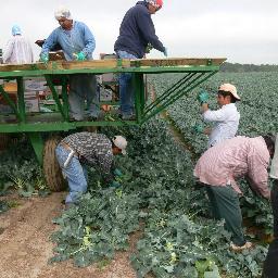 En pro de los derechos humanos de los migrantes. Follow/RT no es endoso.