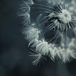 What lies behind us and what lies ahead of us are tiny matters to what lies within us.
