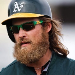 Tweeting_Beard's profile picture. Just your average tweeting beard that happens to be attached to Josh Reddick's face