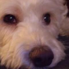 BETqueen's profile picture. 