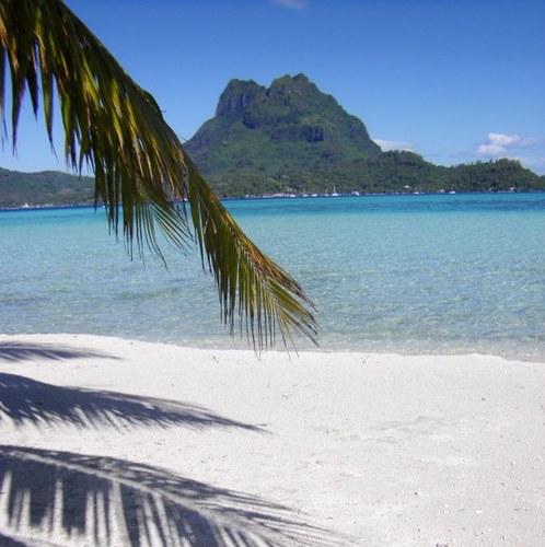 uchuskies's profile picture. 