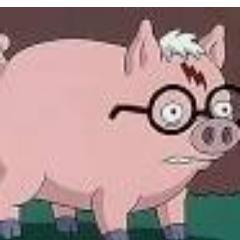 Procurando o perry nao sua opinião...