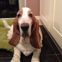 tim lamb - @sevensp0ke - Twitter