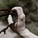 shadi saad - @_shadisaad_ - Twitter