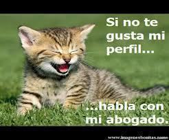 Hello
I am happy, I like to go to the park and they hope to be friends, I like to study, my age is 15 years, I'm funny and I like to share with my friends ..!