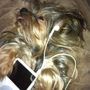 Candace Weber - @CandyCanesWeber - Twitter