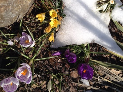 Grammy_Grumpy's profile picture. 