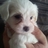 Profile Picture of Sonia Cunado-Browne (@BrowneCunado) on Twitter