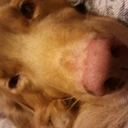 Dee Conrad - @DeeConrad6 - Twitter