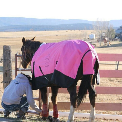 BootsandChutes's profile picture. I may not have been born southern but I was born country. I'm a Baby Anon...so follow me:)