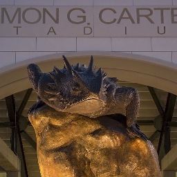 CHI355's profile picture. 