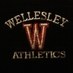 Wellesley Raiders (@wellesleysports) Twitter profile photo