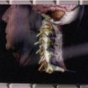 ed valentine - @edvalentines - Twitter