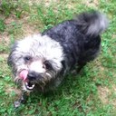 ✌~claudia hopper~✌ - @claudia_hopper - Twitter