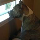 Elvin Polanco - @elvin_polanco - Twitter