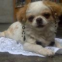 Dania Camacho - @Dioina7 - Twitter