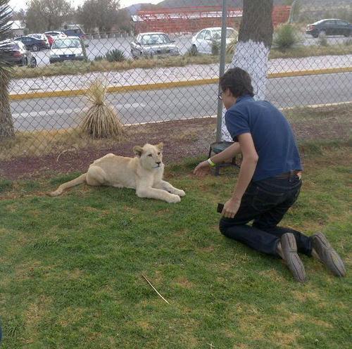 SergioDGarcia1's profile picture. Guapo, rico y agradable.