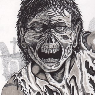 Artist with 30 yrs exp in several mediums..favorite subjects are wildlife, classic monsters, TWD, of course zombies & anything else i can find to draw