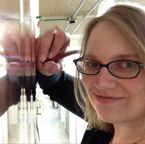 Printmaker. Geology lover. Teacher of the arts.