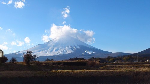 のんびり歩き始めました。 写真が好きです。