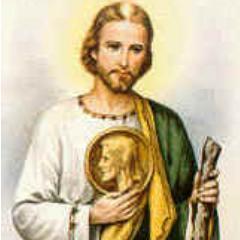 afonsocd's profile picture. 