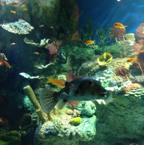 8327Majed's profile picture. 