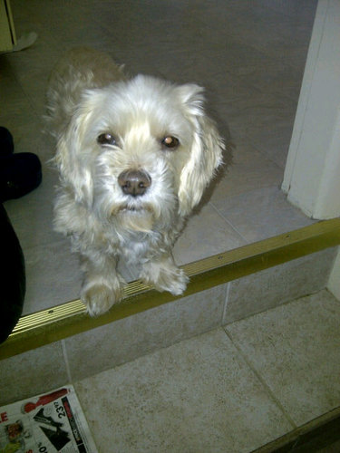 grandmastender's profile picture. 