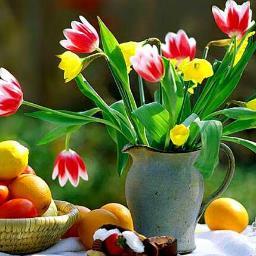 aashishrai14's profile picture. 