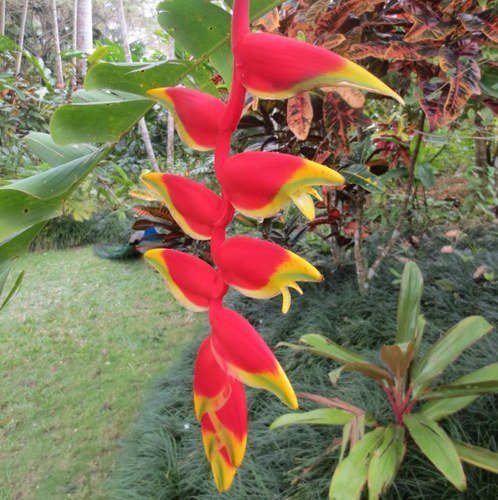 CALewis63's profile picture. 