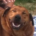 Ashlee beck - @yahoospikeycat - Twitter