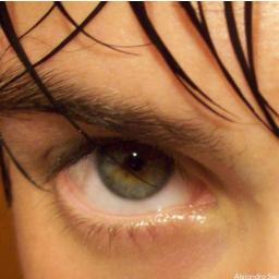 alfredo123_'s profile picture. 