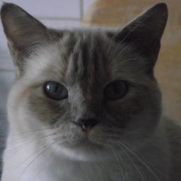 Andrea_Sally's profile picture. I am a wife, mum, nanny and medical secretary all wrapped up in one.  I live in Dorset, love my cat, photography and walking. My family are my life xx