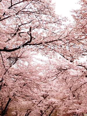 yuki no hana