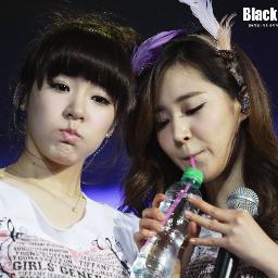 shinchickette's profile picture. 