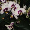 claire walter - @clairewalter4 - Twitter